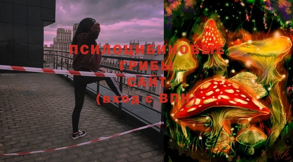 PSILOCYBIN Новодвинск