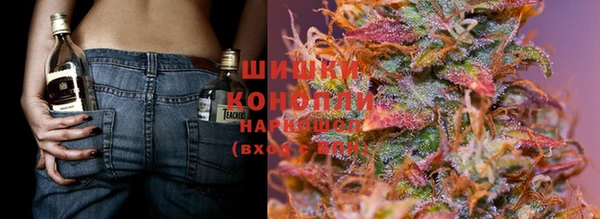 прущие крисы Балабаново