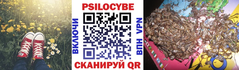 darknet как зайти  наркотики  Гаврилов Посад  Галлюциногенные грибы мицелий 